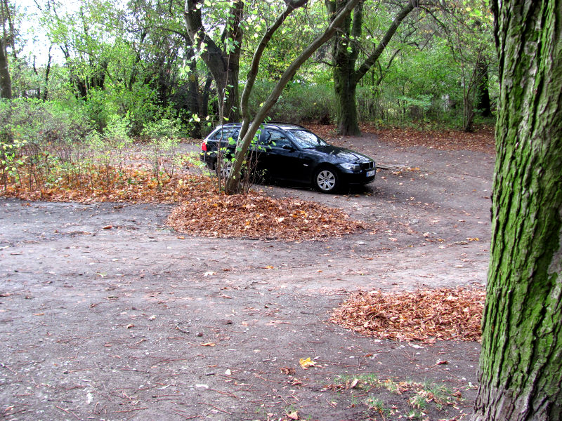 Wo Parkt Man Im Wald Meine Auto Tipps Der Auto Ratgeber
